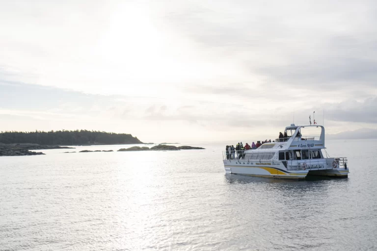 IMPACT Magazine Vol 1