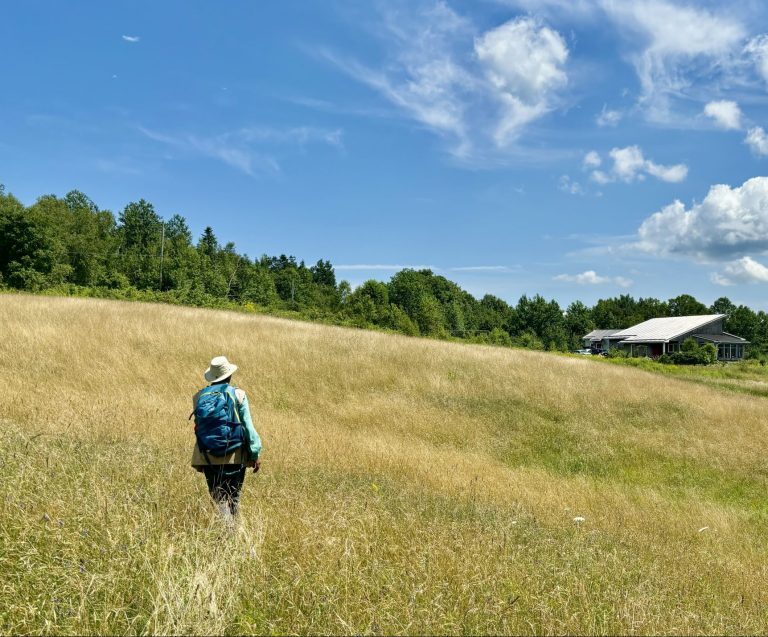 Reflecting the Soul of a Place: A Conversation with IMPACT 2025 Award Recipient, Celes Davar