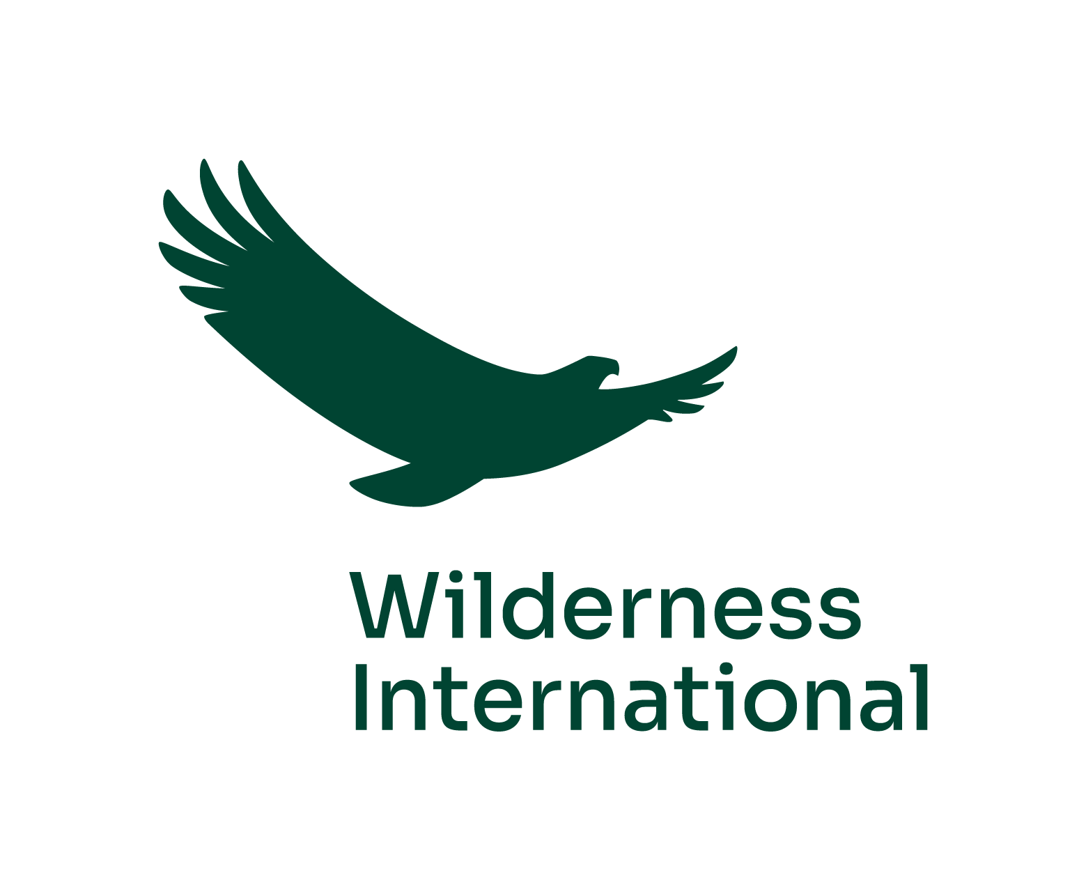 Colour logo for Wildnerness International Canada.